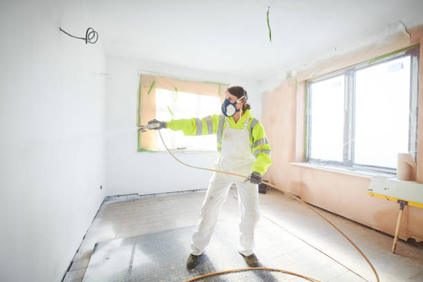 Biohazard Mold Removal in Forestville, CA