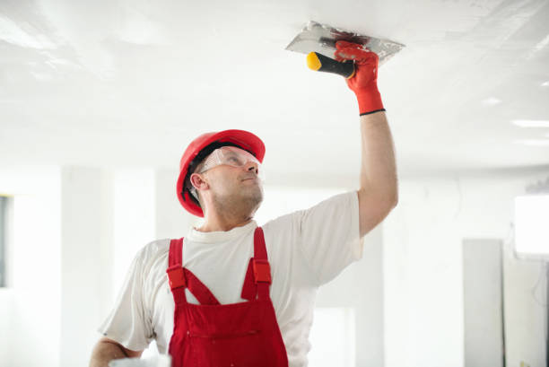 Best Residential Mold Inspection & Testing  in Forestville, CA